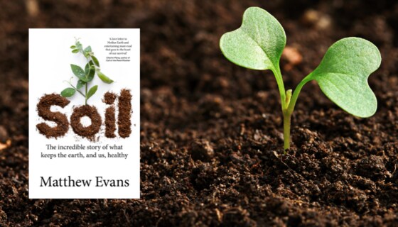 Edible Gardens Kommuniti - SOIL - THE INCREDIBLE STORY