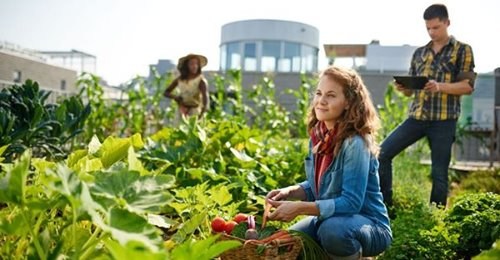 The Future of Food