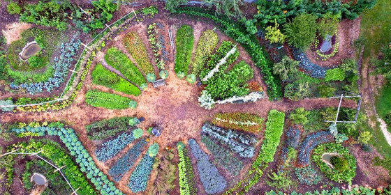 Regenerative Agriculture in your Backyard or Community Garden!