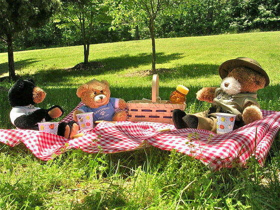WTC Summer Picnic Party - alumni