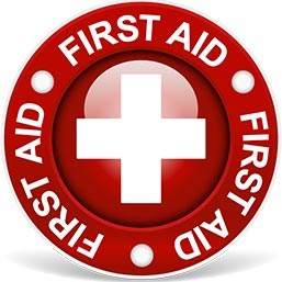 Online First Aid Course