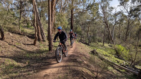 PGMTB Sunday Social Ride