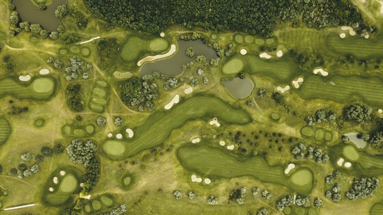 2022 "King of the Course" - Blue Gum Squash Club - Golf Day