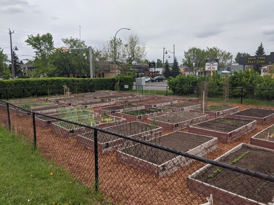 2021 Community Garden Plot