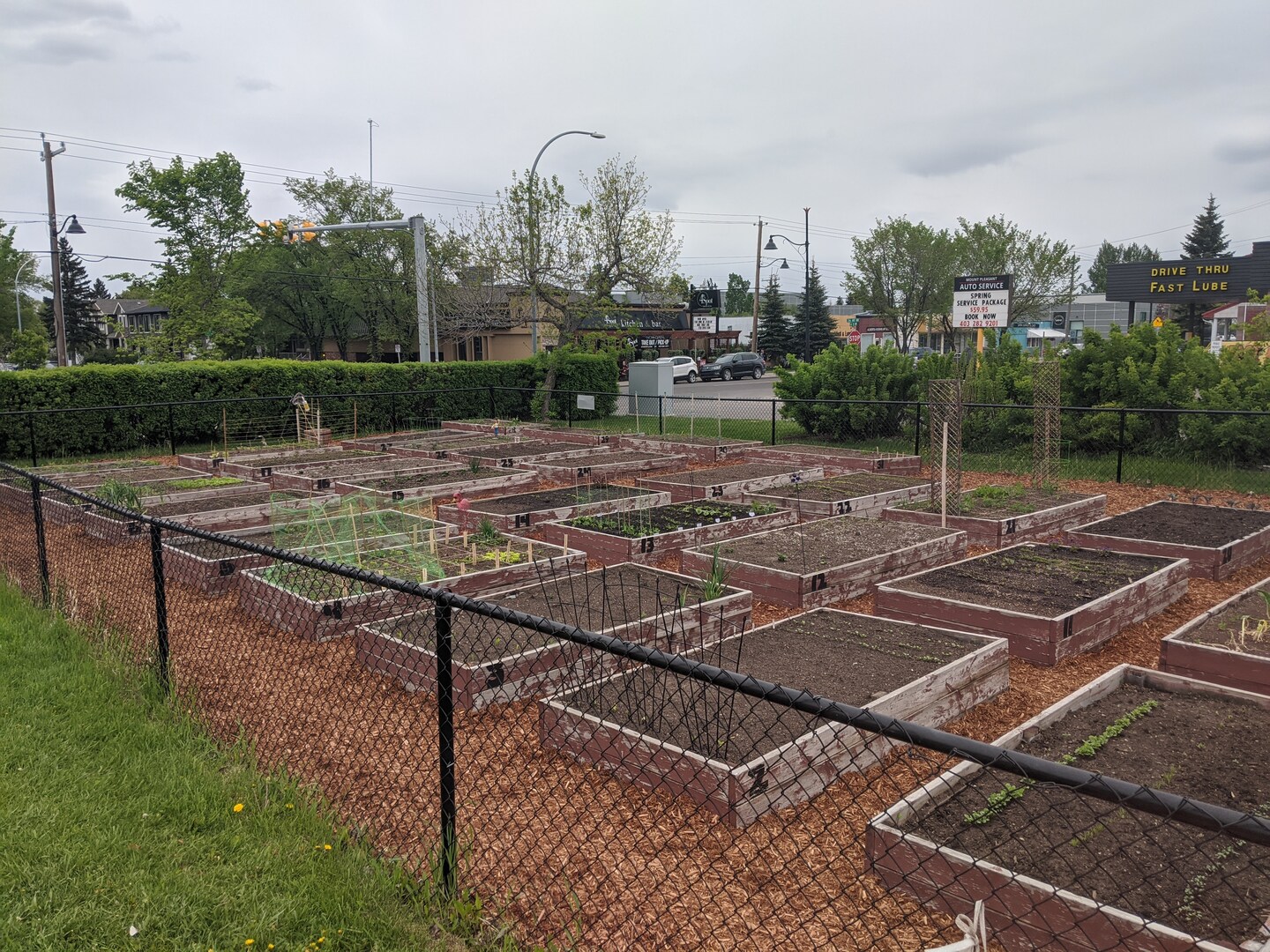 2021 Community Garden Plot Mount Pleasant Community Association TidyHQ