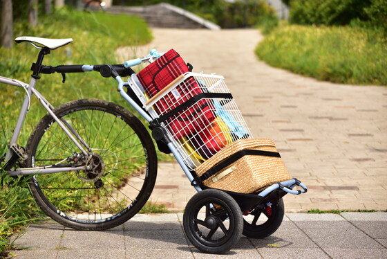 We-Haul Bike Trailer Share - June 2022