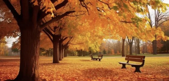 Jump into Fall Festival 2026