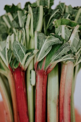 Fresh FREE Rhubarb from Crafternooner Susan!