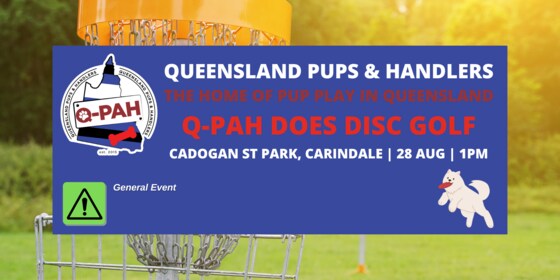 Q-PAH Does Disc Golf