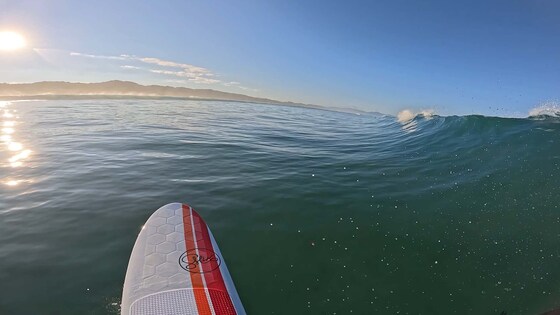 January Social Paddle