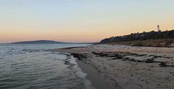 August Social Paddle