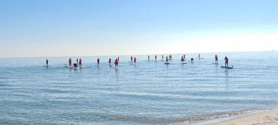 Paddle, AGM and drinks on us