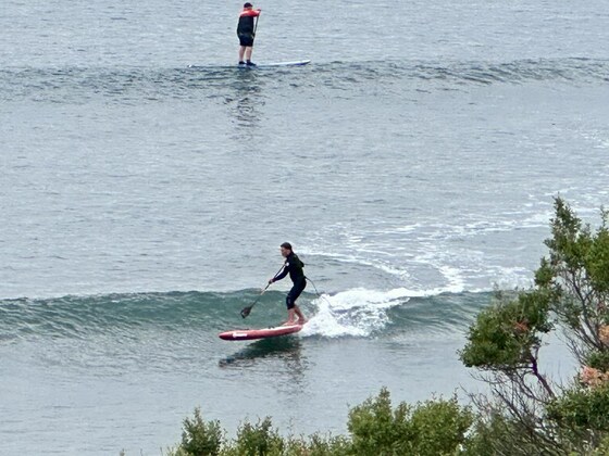 Winter #1 Surf/Bop Session
