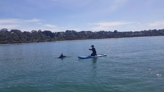 February Social Paddle
