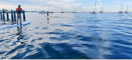 New Years West Pod Paddle