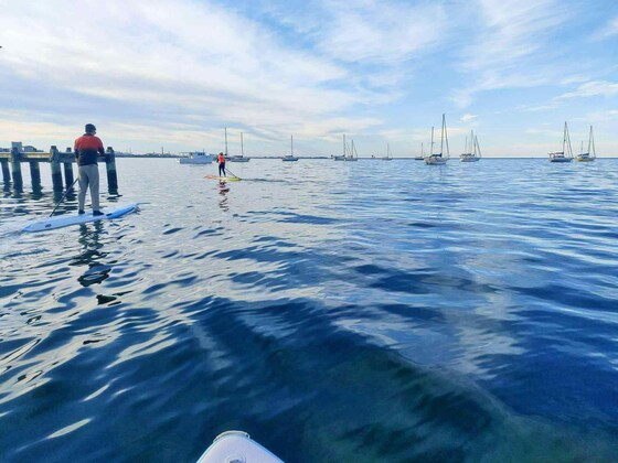 November Social Paddle