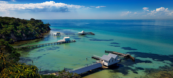 SUP VIC Peninsula Pod Downind Daze 