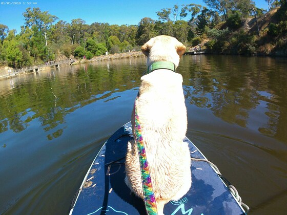 September Social Paddle