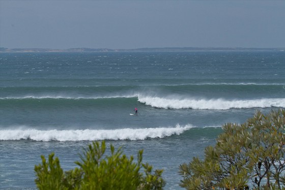 SUP VIC 2019 Surf Weekend