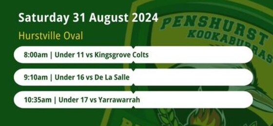 St George Junior League and NSW Southern Conference Competition Grand Finals