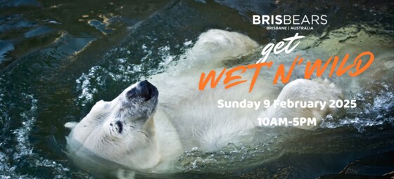 Brisbears get Wet'n'Wild