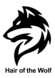 Hair Of The Wolf