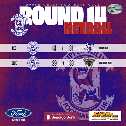 Netball Round 14