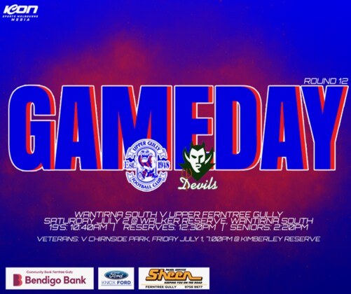 Seniors Round 12 vs Wantirna South