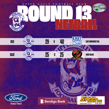 Netball Round 13