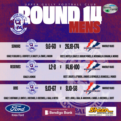 Seniors Round 14 vs Waverley Blues