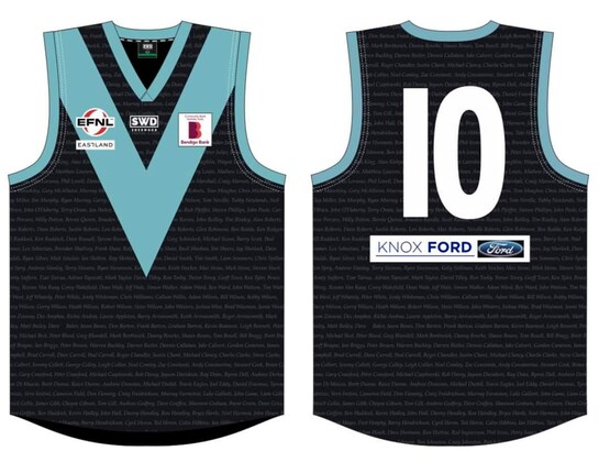 Seniors Round 5 vs Waverley Blues