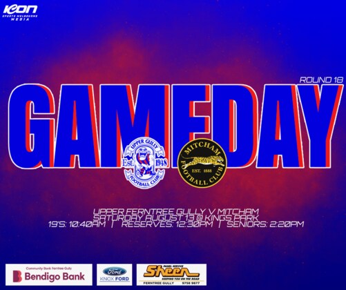 Seniors Round 18 vs Mitcham
