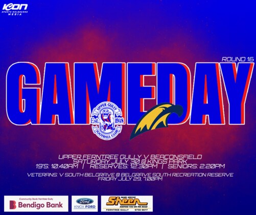 Seniors Round 16 vs Beaconsfield