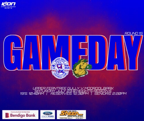 Seniors Round 15 vs Mooroolbark