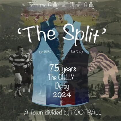 Seniors Round Two vs Ferntree Gully (Night Game)