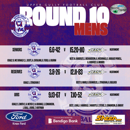 Seniors Round 10 vs Heathmont