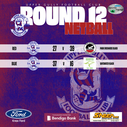 Netball Round 12