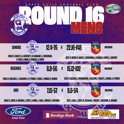 Seniors Round 16 vs Mulgrave