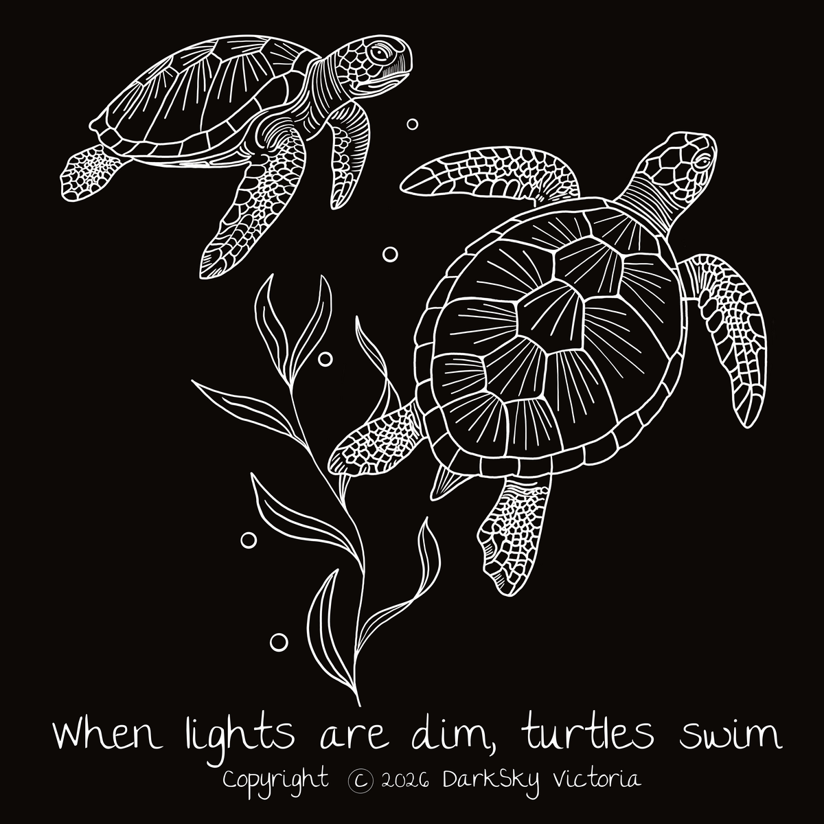 TURTLES