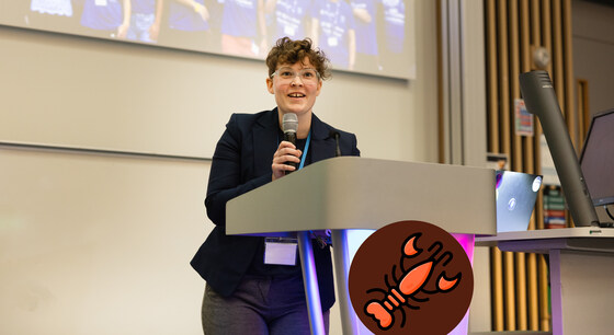 Navigating the Academic and Research Landscape as an Autistic Physicist