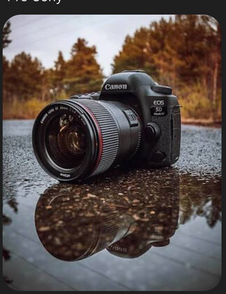 Photo fundraiser @ Pine Banks Park