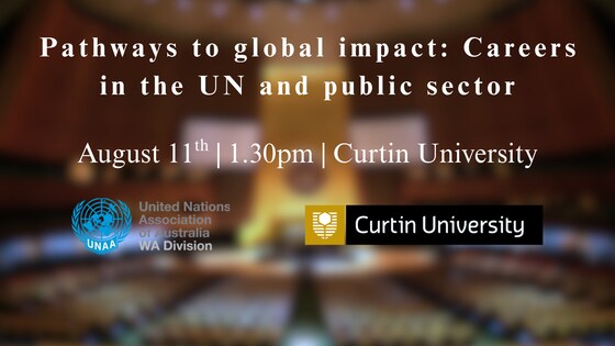 Pathways to global impact: Careers in the UN and public sector