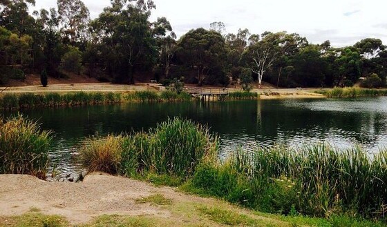 Lake Esmond Walk & Play