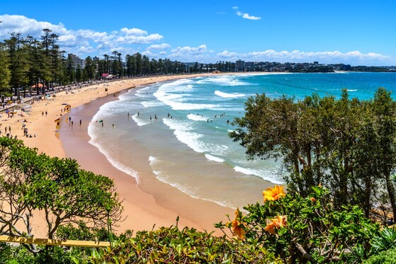 Northern Beaches Lunch Excursion