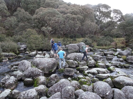 Barrington Tops Intermediate Overnight Hike