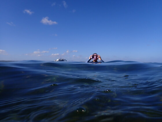 Snorkel at Fly Point