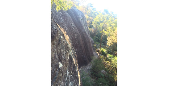Beginner's Climbing @ Point Clare