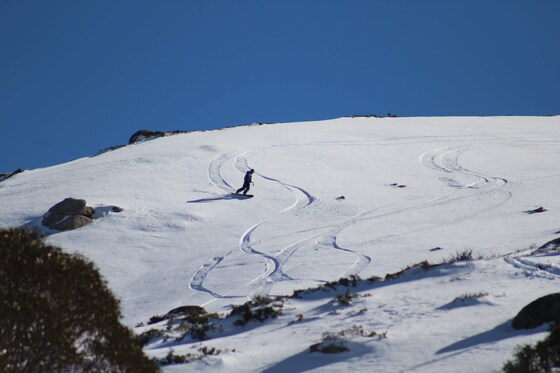 Intermediate Backcountry skiing/splitboarding 