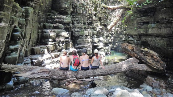 Williams River Walk