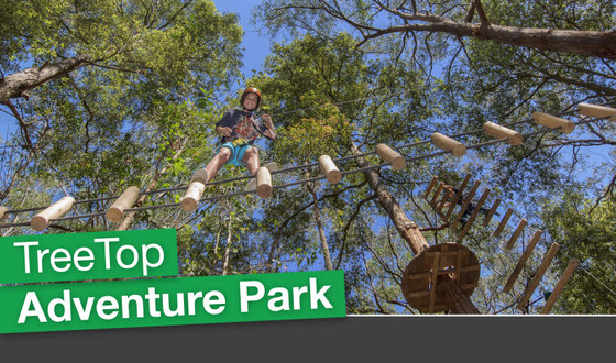 Treetops Adventure
